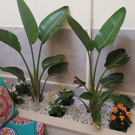 Dimora Fantasia Charme B&B 4*