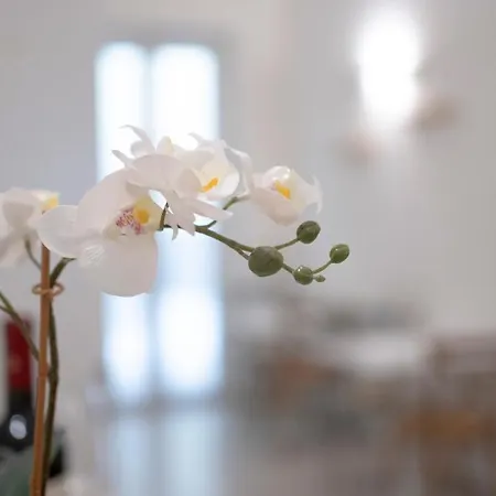 Alojamento de Acomodação e Pequeno-almoço Dimora Fantasia Charme