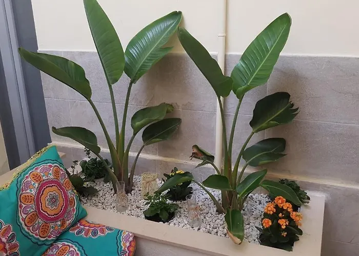 Dimora Fantasia Charme Bed & Breakfast 4*